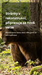 Mobile Screenshot of hlavica.cz